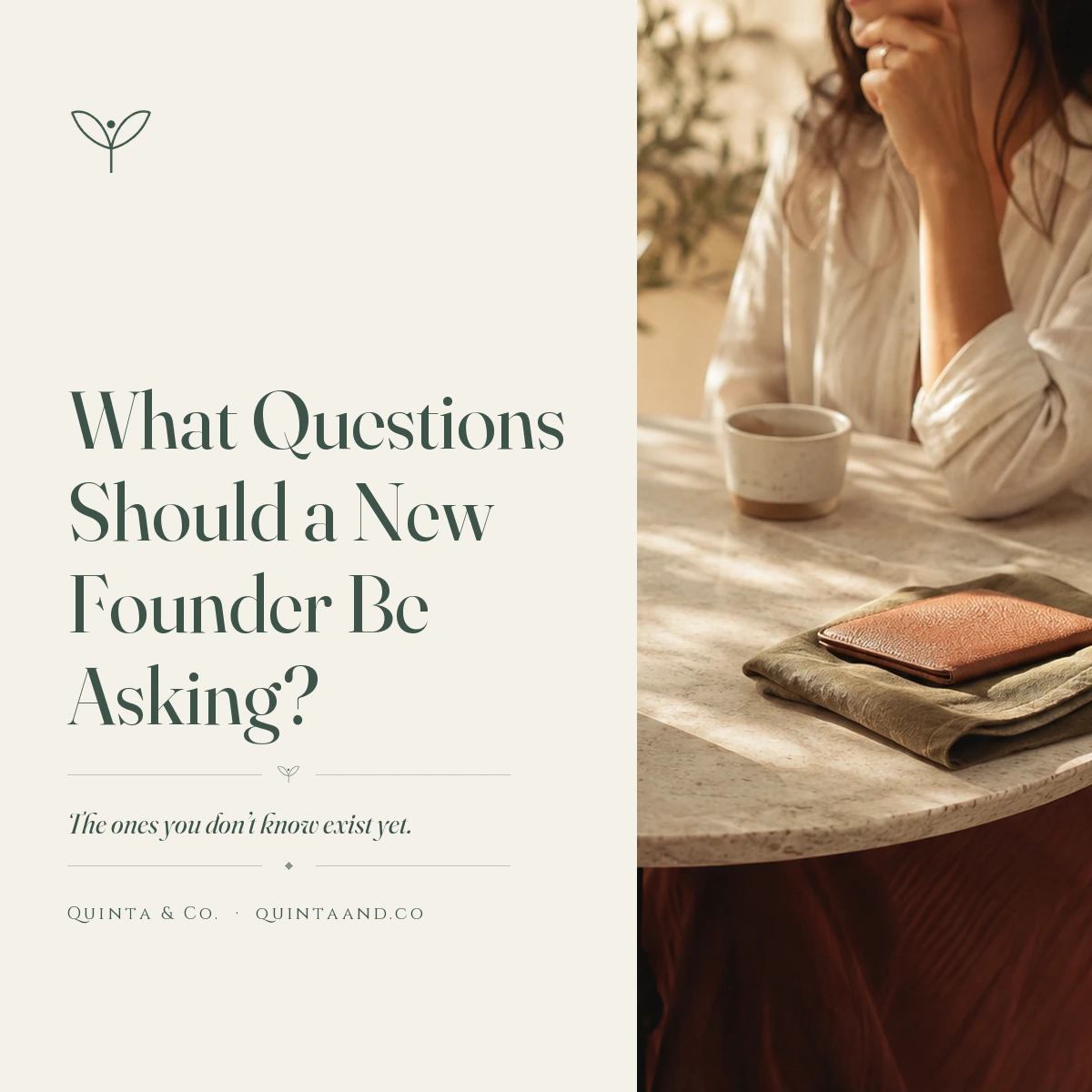 Two women in conversation at a sunlit café table, seen from behind — beside hand-drawn olive branch line art, the headline 'What Questions Should a New Founder Be Asking?' and the subline 'The ones you don't know exist yet.' Quinta & Co. blog title card.